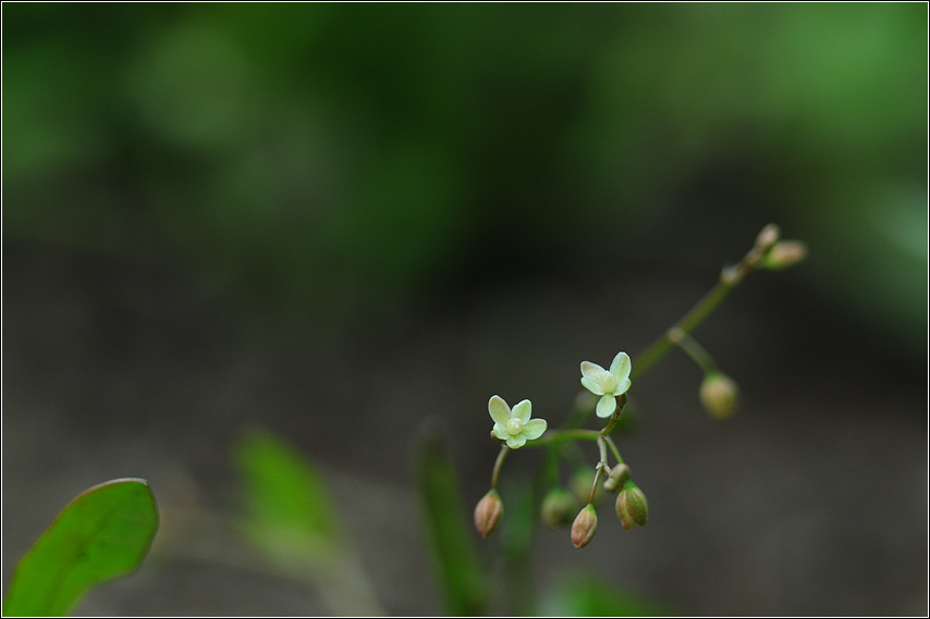 DSC_7940.jpg