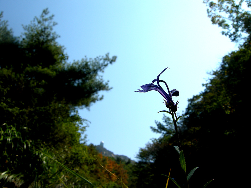 사진 078.jpg