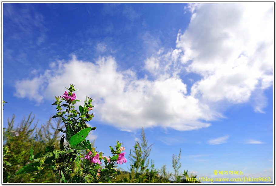DSC_9856.jpg