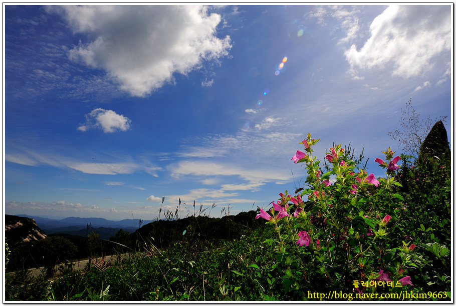 DSC_9876.jpg