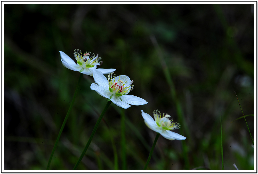 DSC_2703.jpg