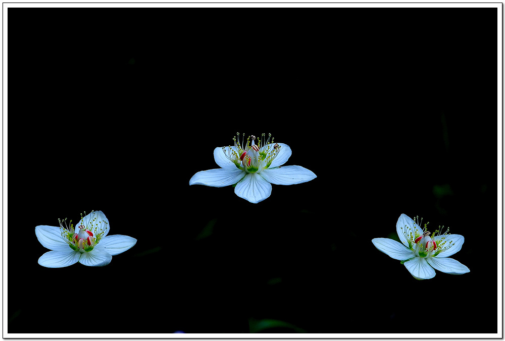 DSC_2674.jpg