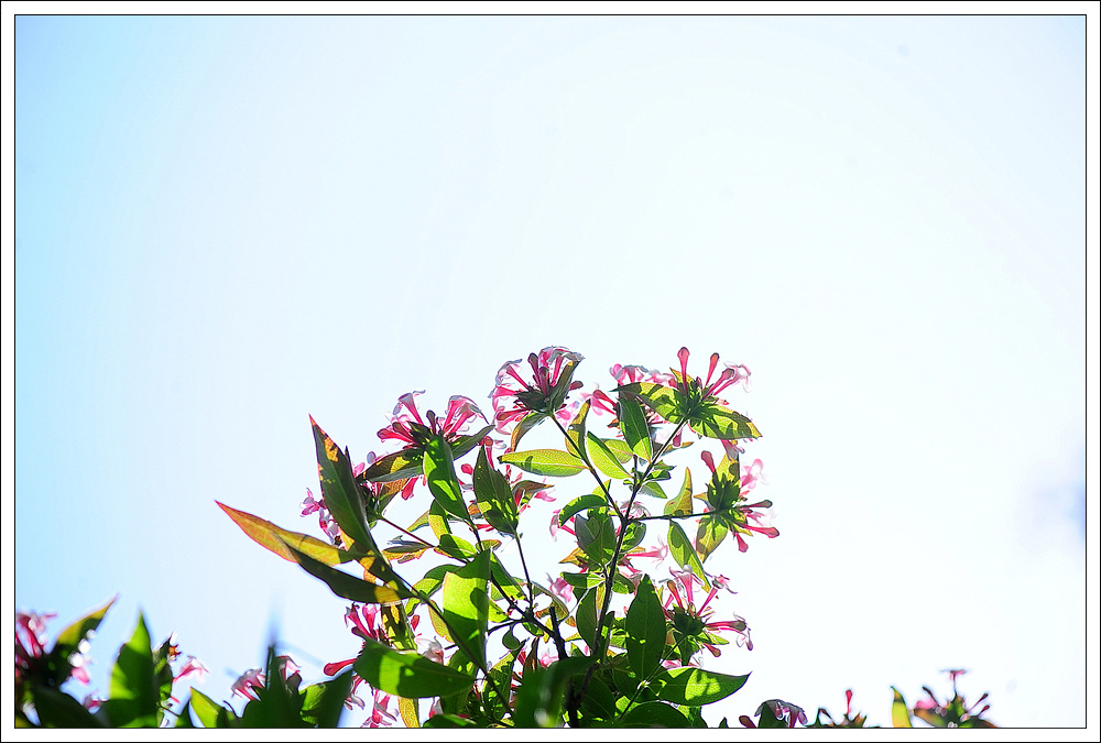 DSC_2161.jpg