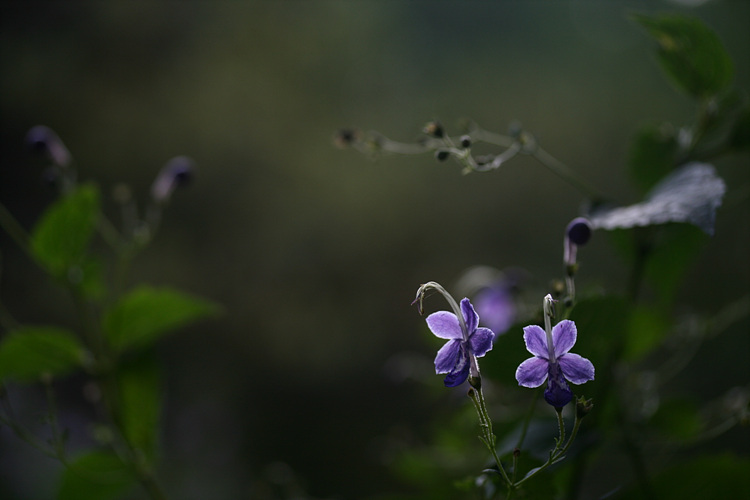 2009.09.05 282.jpg
