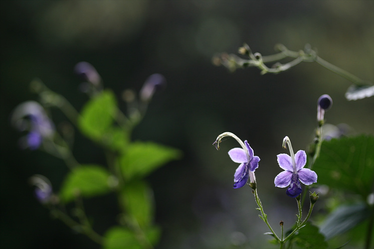 2009.09.05 290.jpg