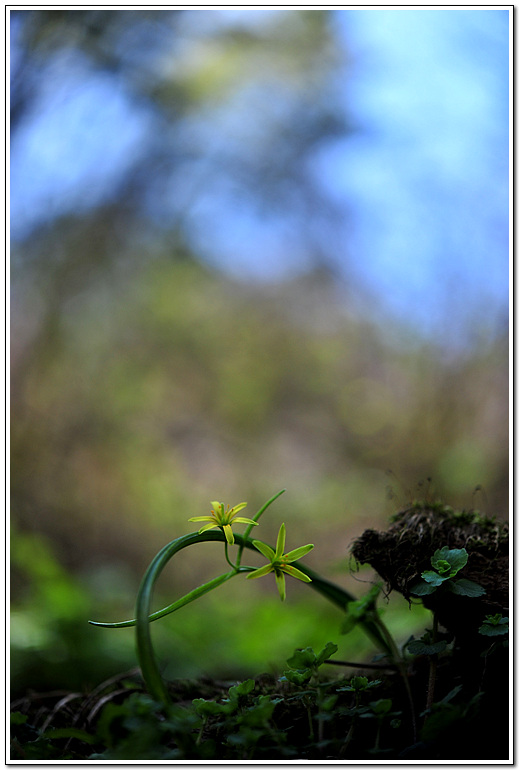 DSC_4036.jpg