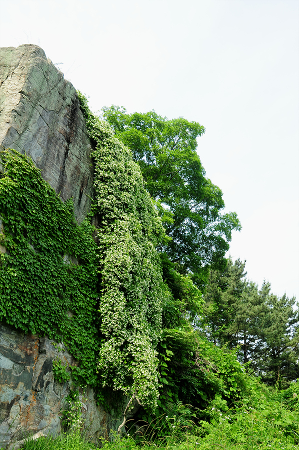 DSC_2717.jpg