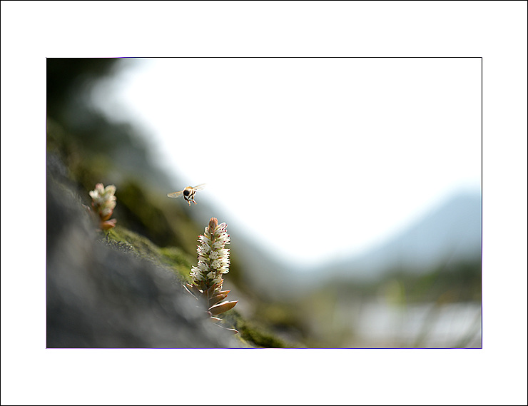 DSC_5953.jpg