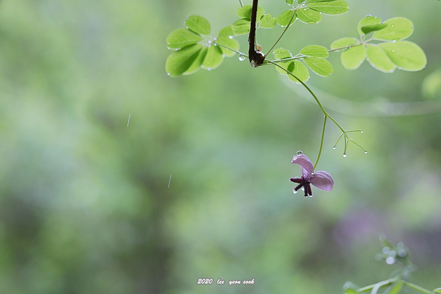 20200509-P39A7962-2.jpg