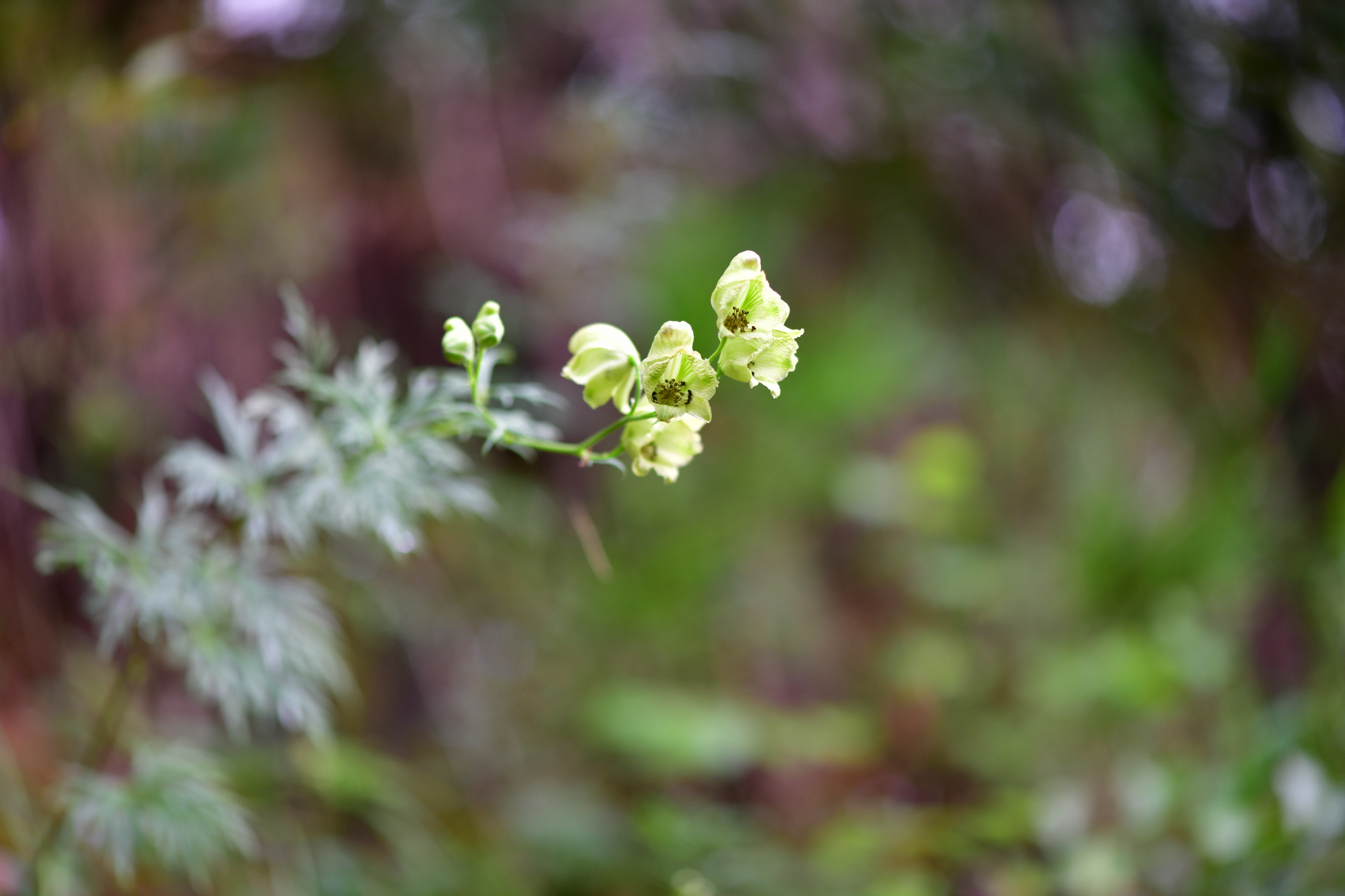 크기변환_DSC_4807.JPG