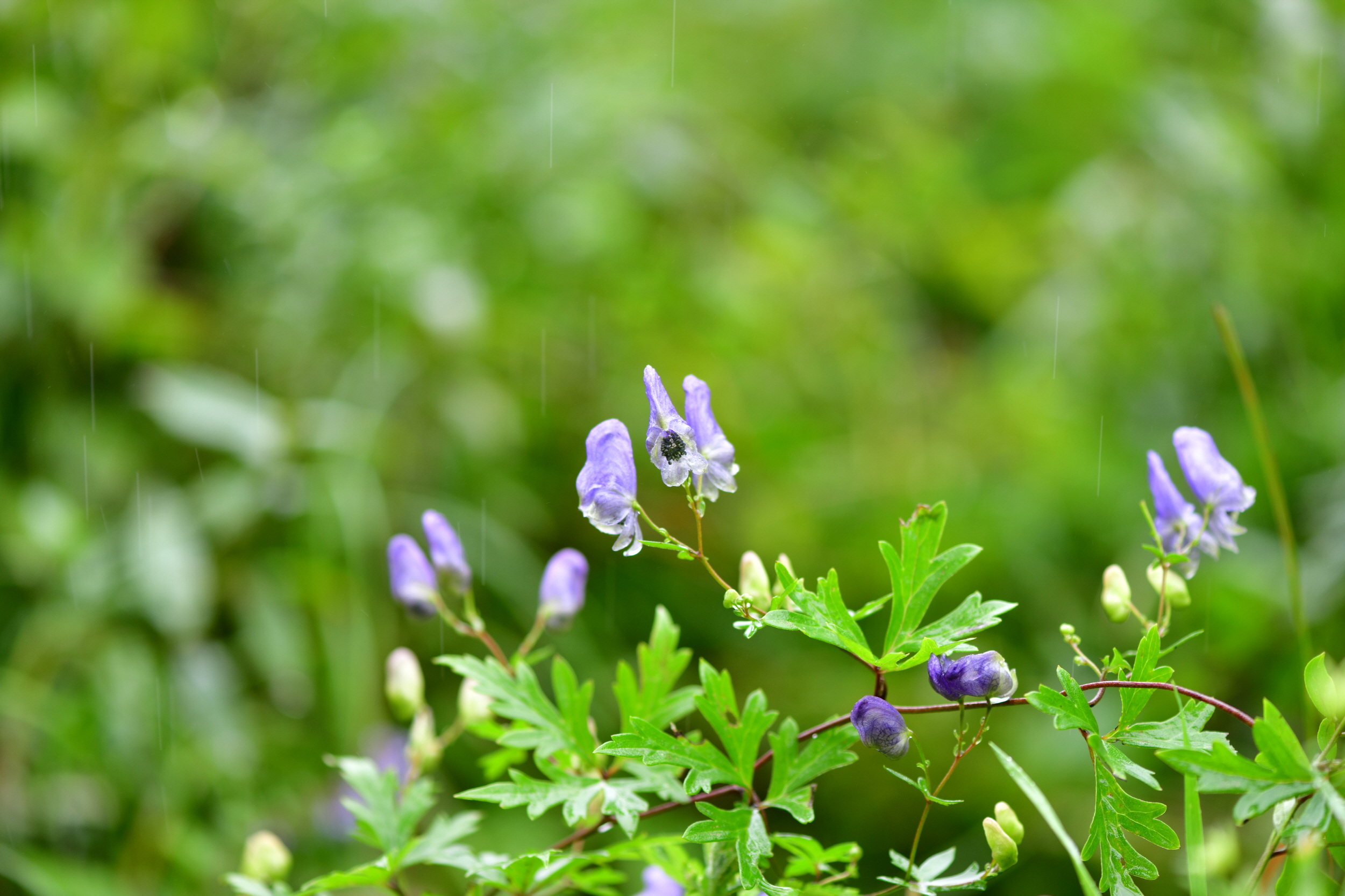 크기변환_DSC_5183.JPG