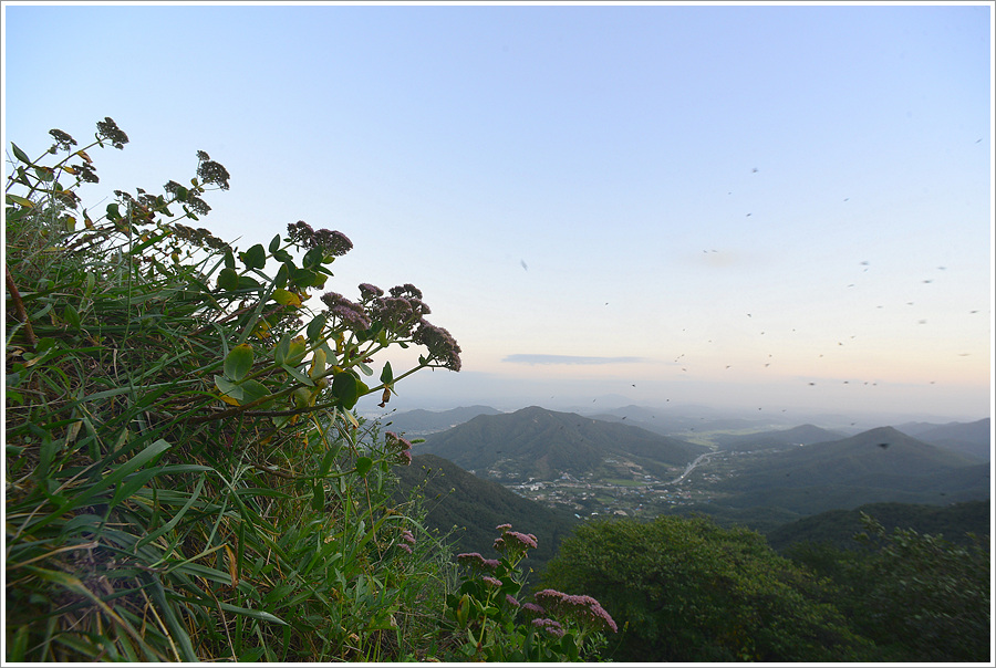 DSC_2260.jpg