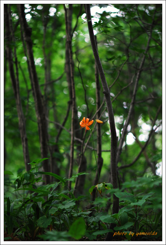 DSC_7586.jpg