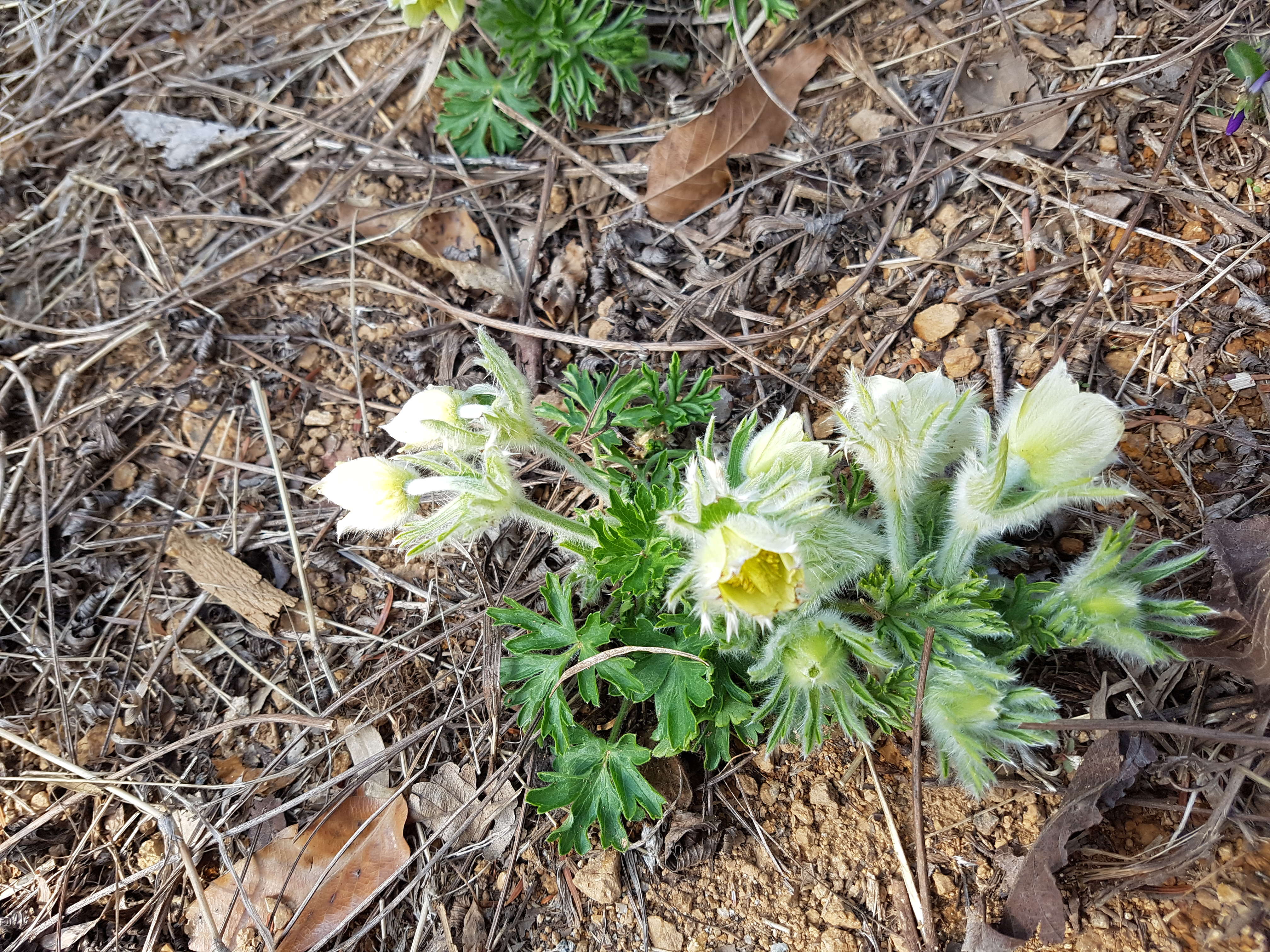 20160407_152218.jpg
