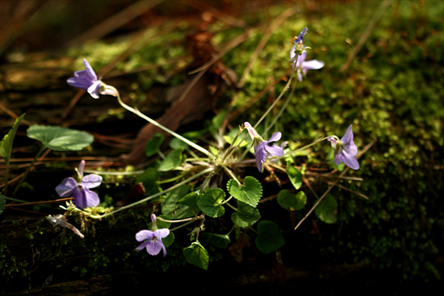 2010-05-07 071.jpg
