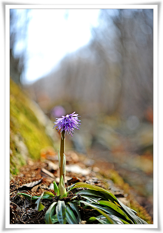 DSC_3133-1.jpg