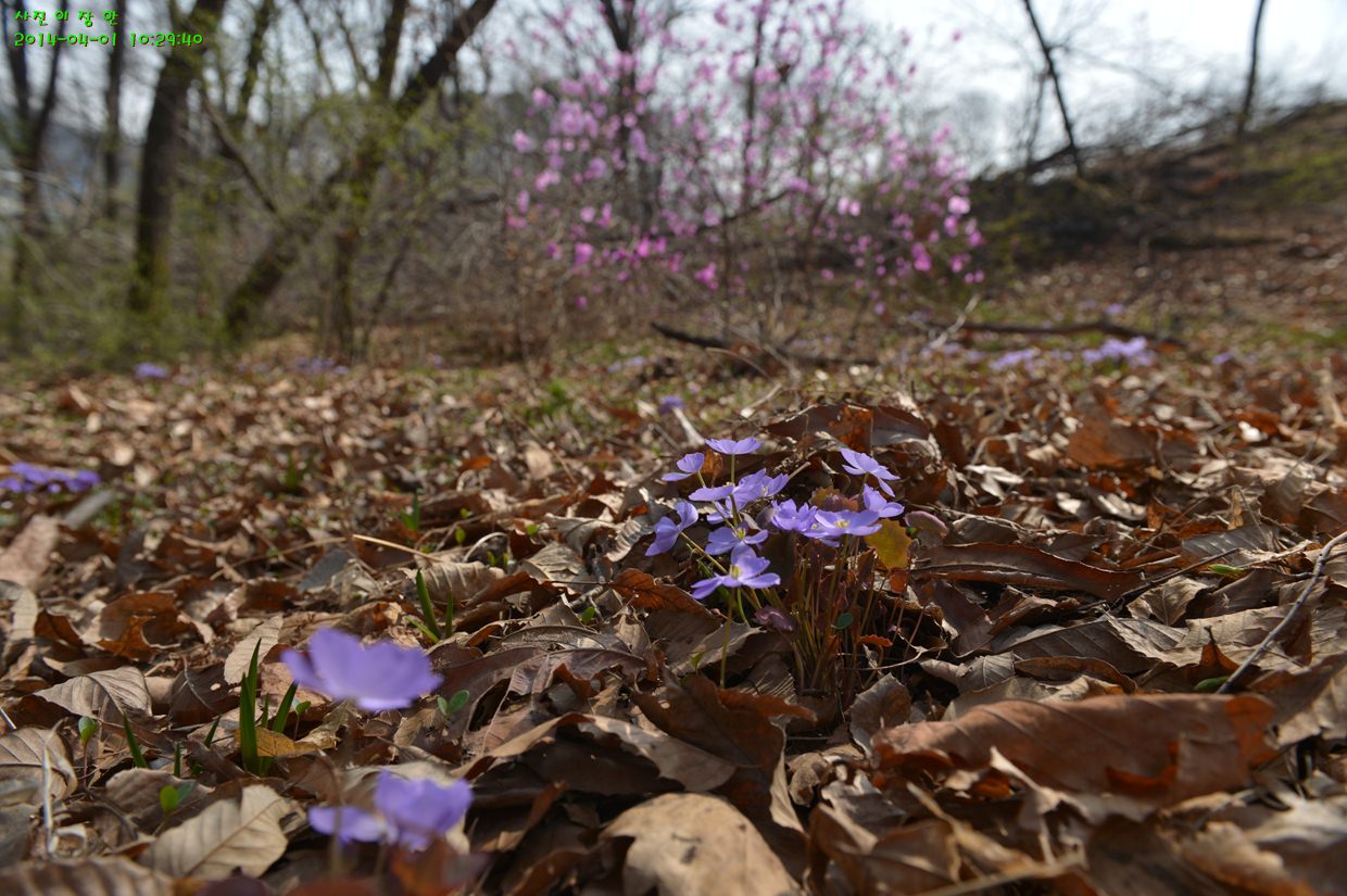 DSC_1419.jpg