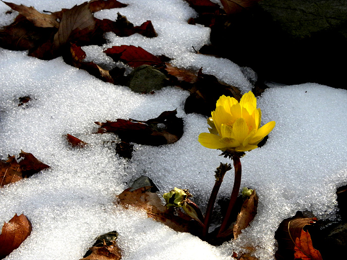 DSCN0690.jpg