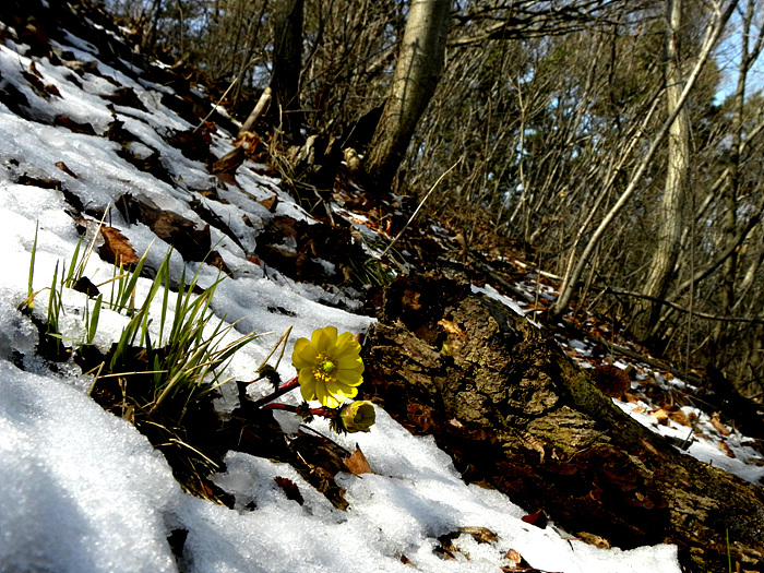DSCN0580.jpg