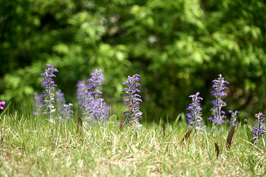 2010-05-08 016.jpg