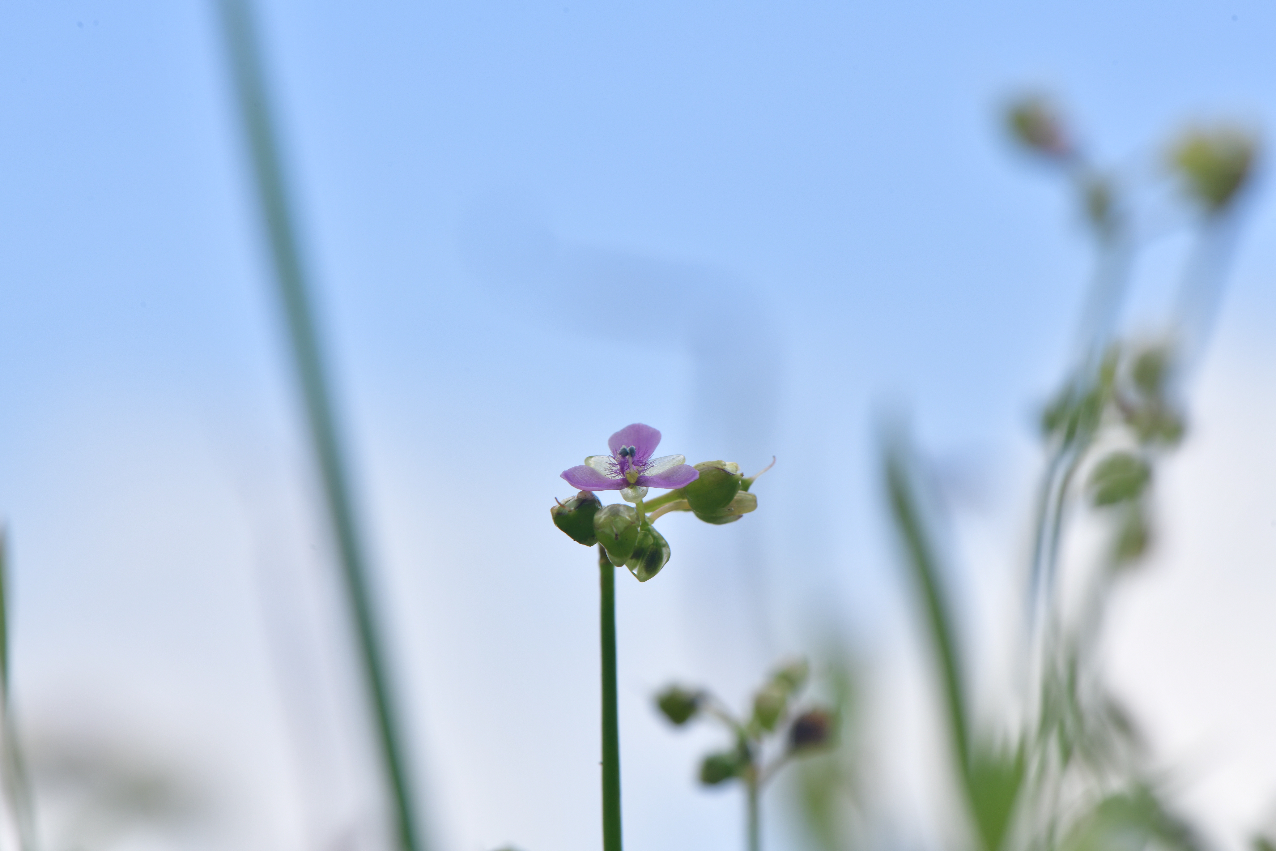 DSC_3587.JPG