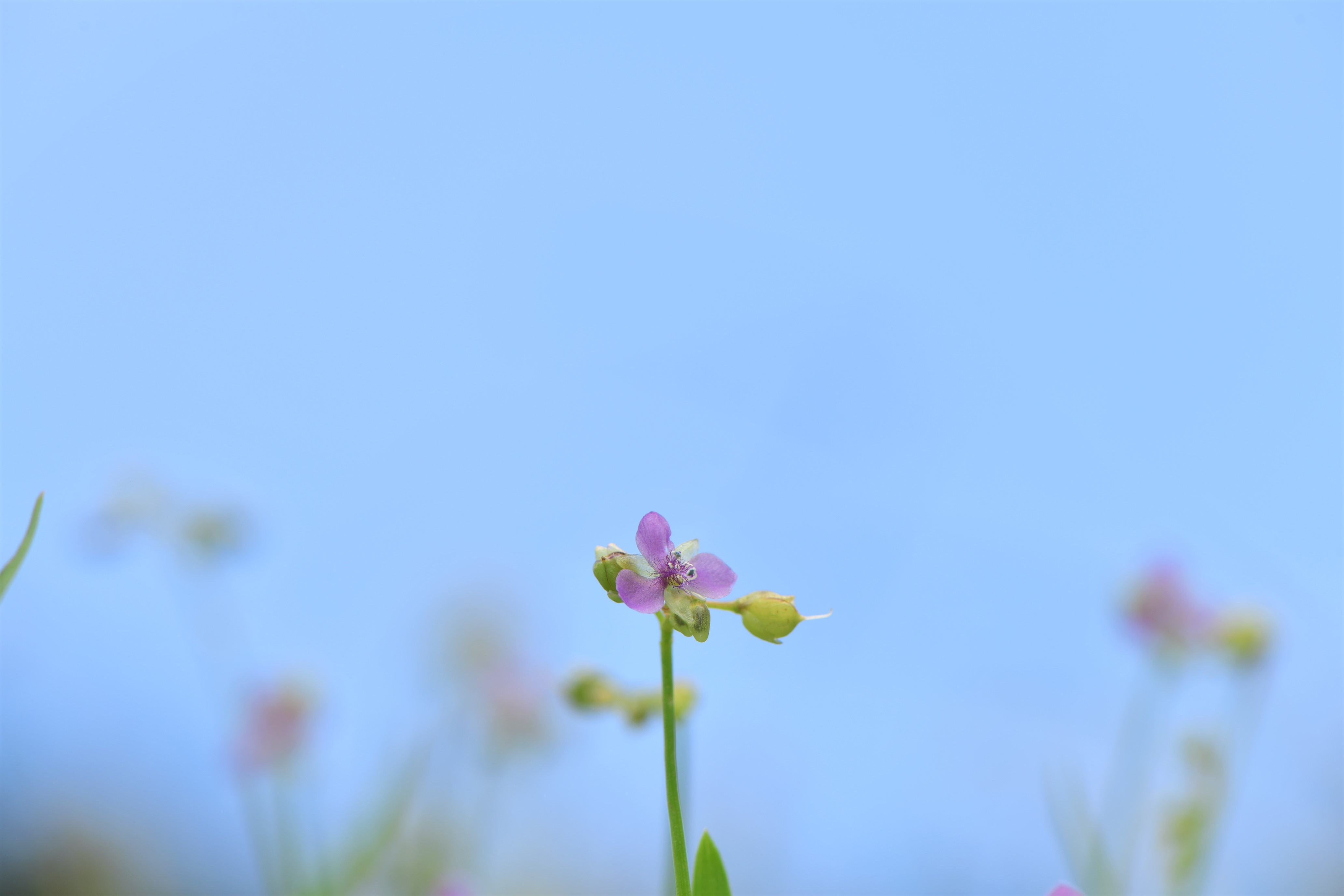 DSC_3691.JPG