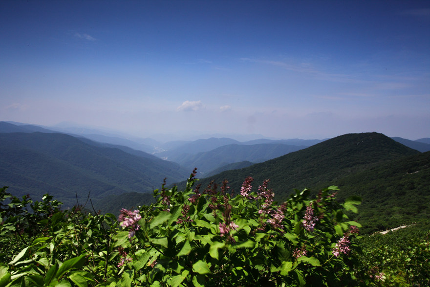 IMG_7923.jpg