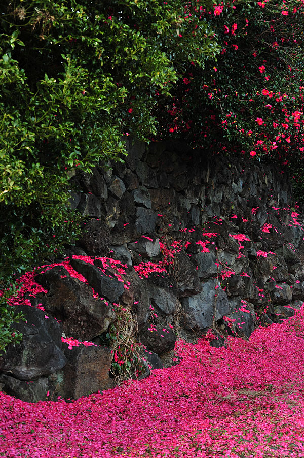 20111204_0111-1.jpg