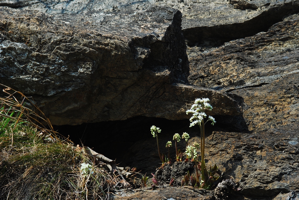 DSC_0024-2.jpg