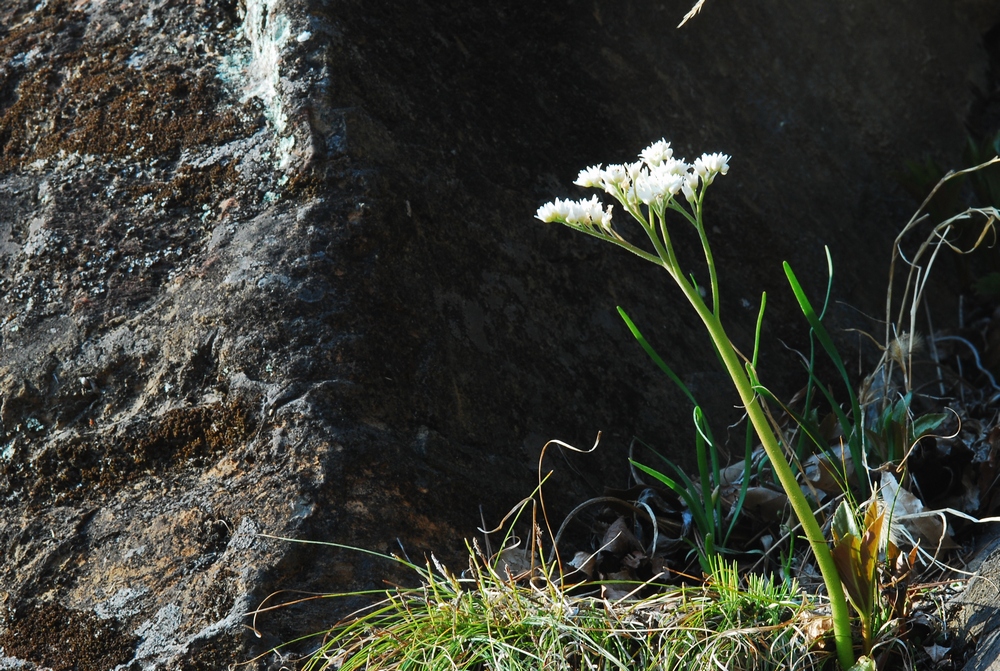 DSC_1024-2.jpg
