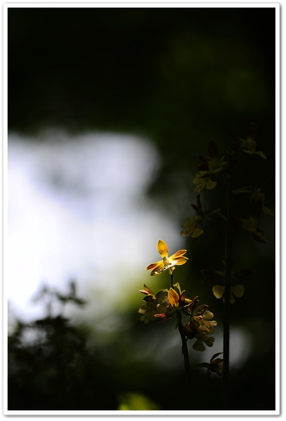 DSC_8040-2.jpg