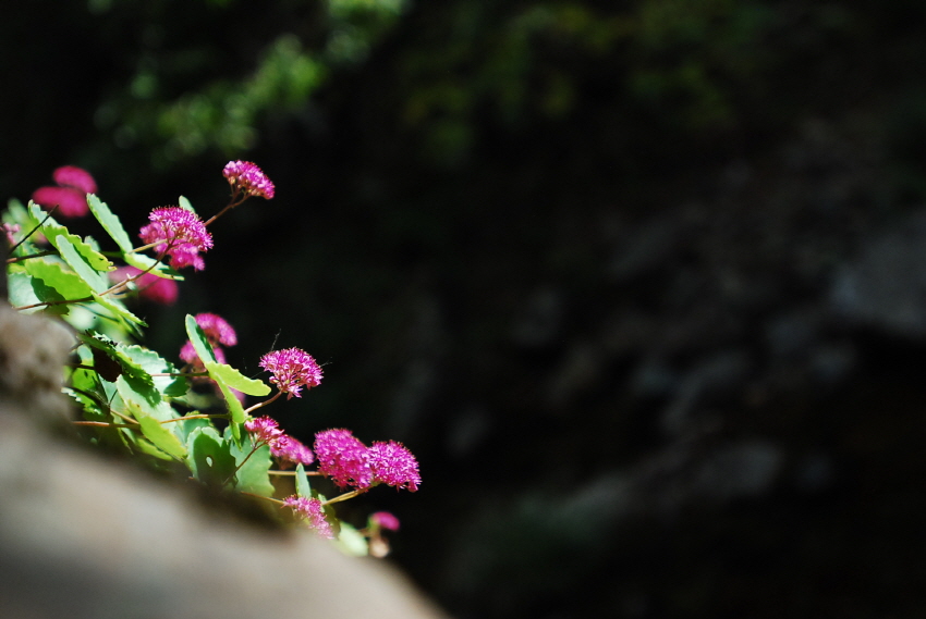크기변환_DSC_0369.JPG