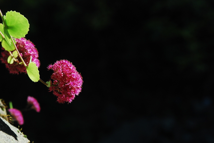 크기변환_DSC_0452.JPG