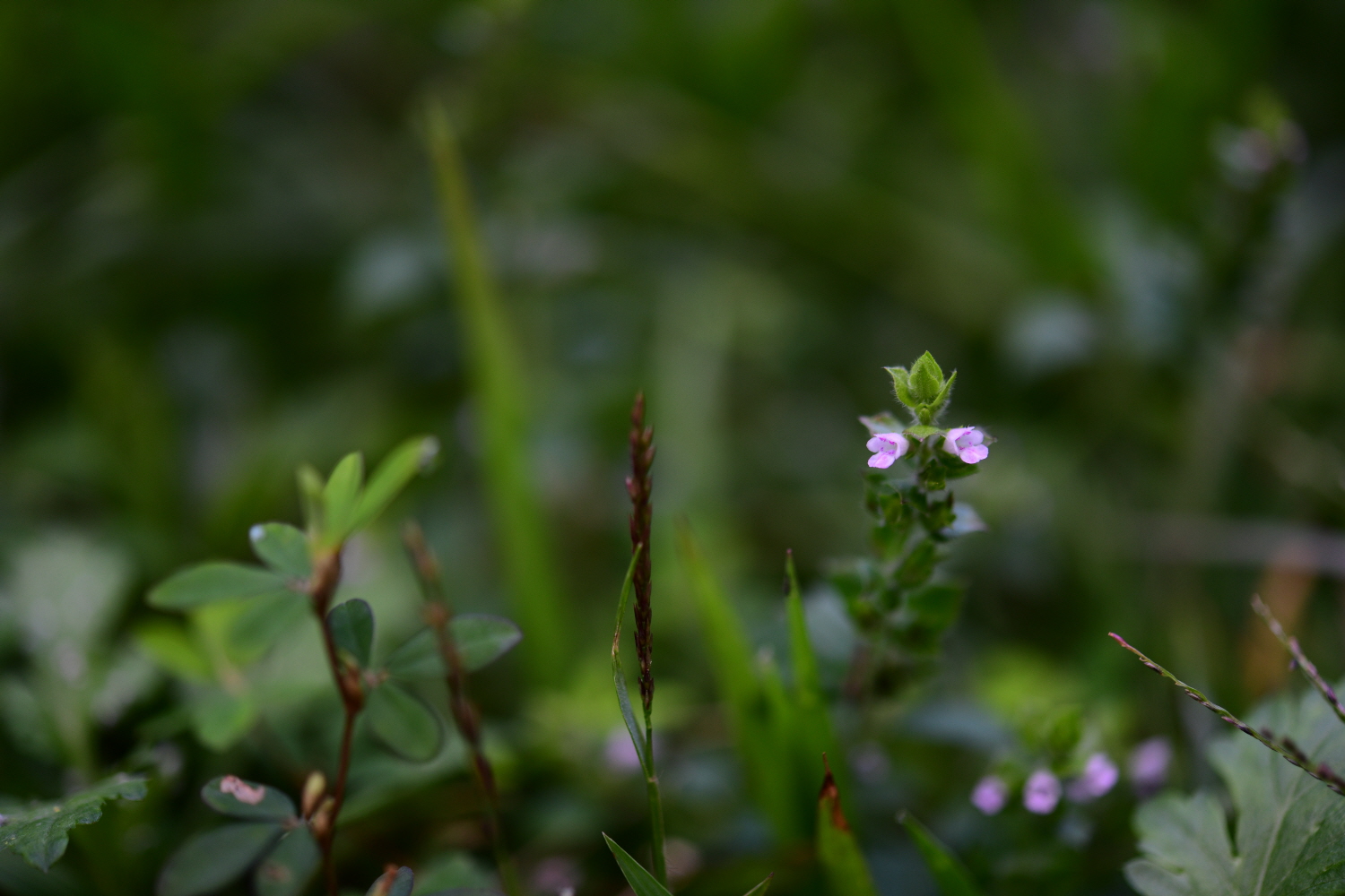 크기변환_DSC_2923.JPG