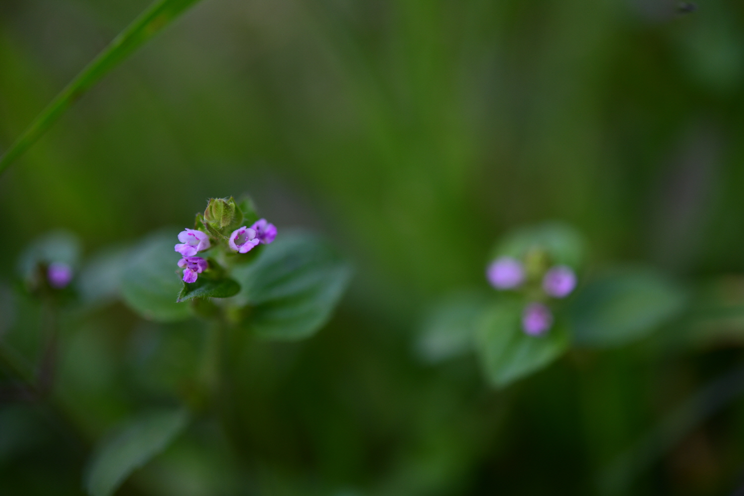 크기변환_DSC_2934.JPG