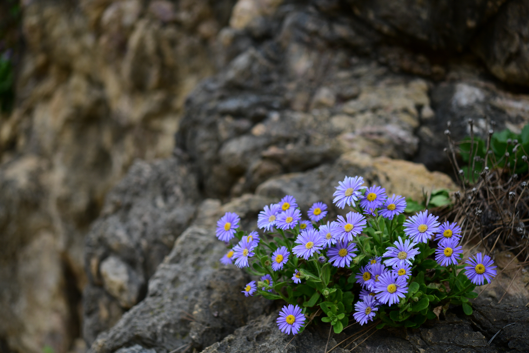 크기변환_DSC_0075.JPG