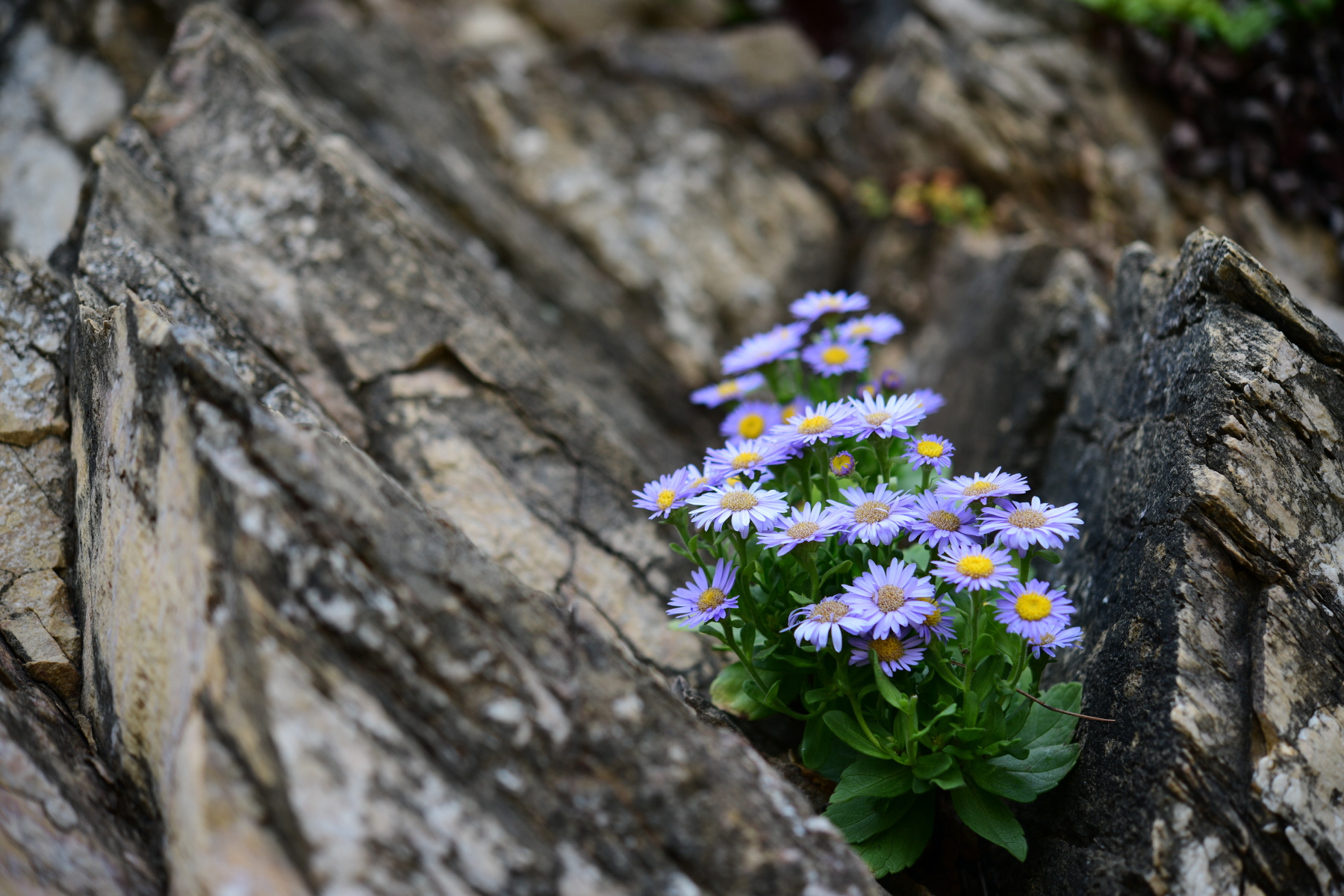 크기변환_DSC_0080.JPG