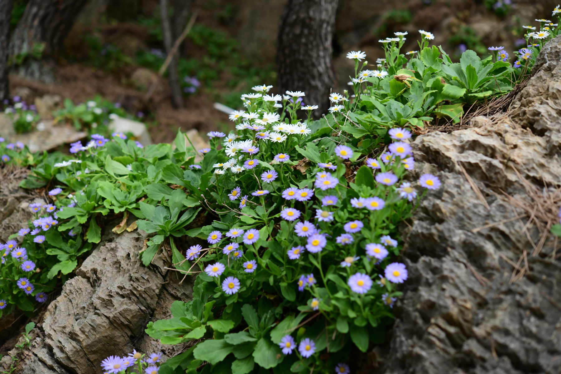 크기변환_DSC_9978.JPG