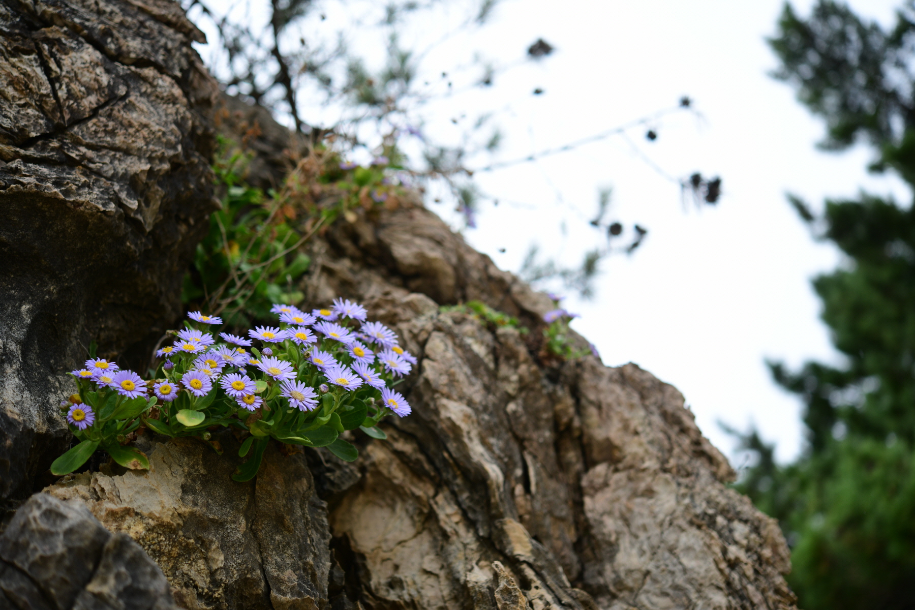 크기변환_DSC_0054.JPG