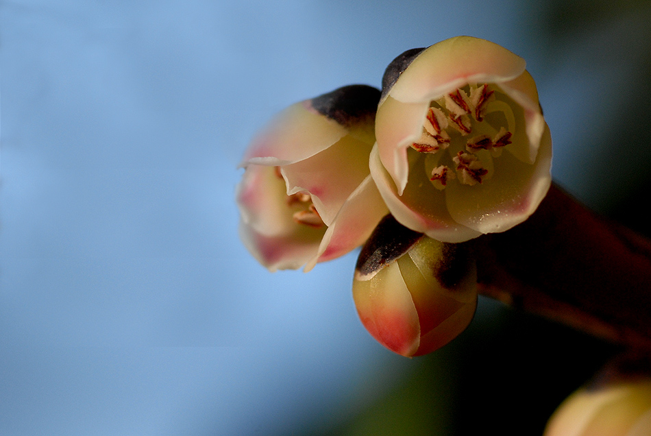 DSC_0128.jpg