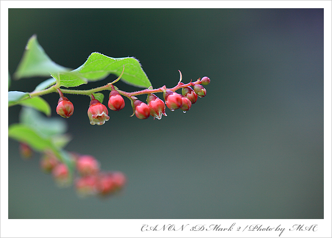 IMG_7746.jpg