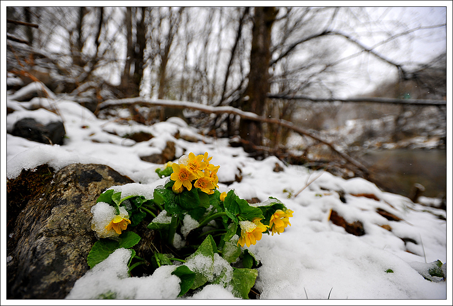 DSC_054220110419_5651.jpg