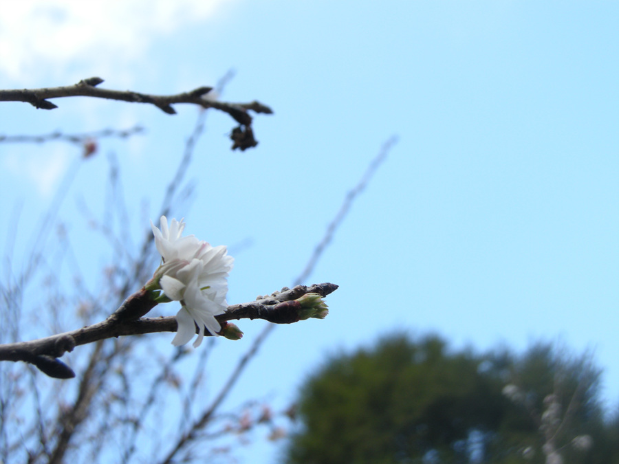 DSCN3697.jpg
