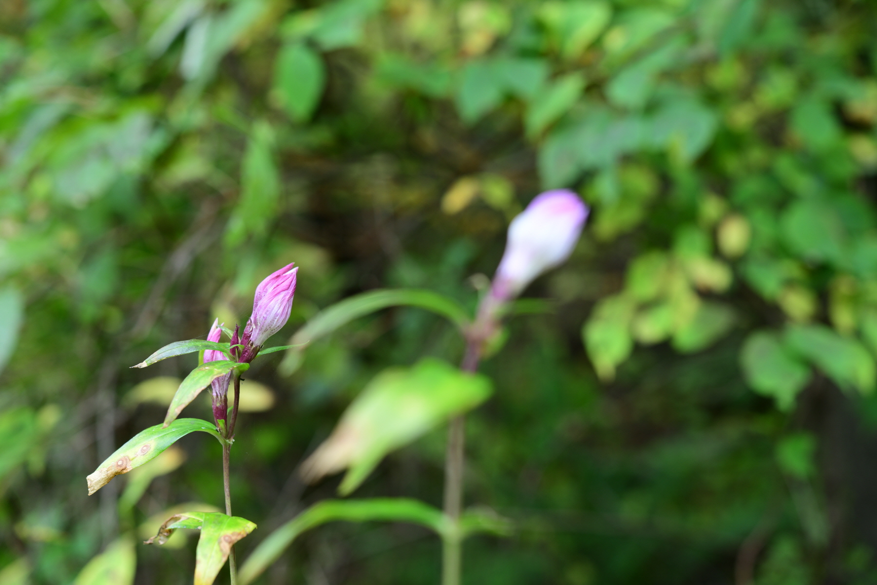 크기변환_DSC_0380.JPG