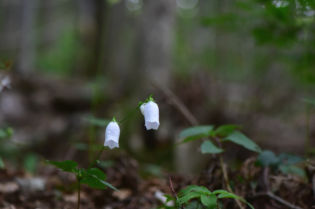 DSC_5858.JPG