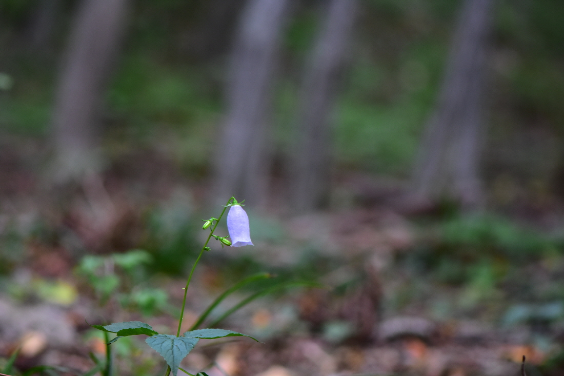 DSC_5811.JPG