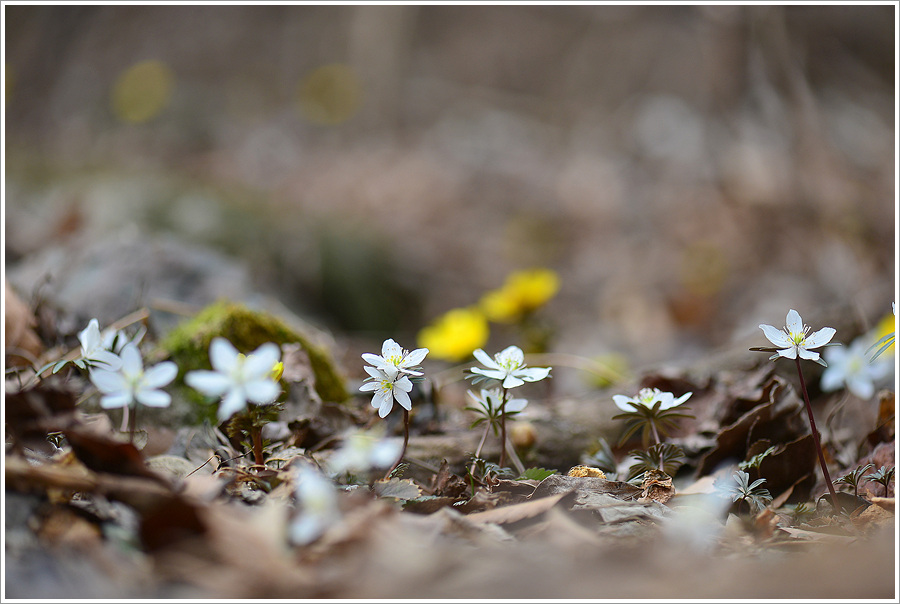 DSC_5435.jpg