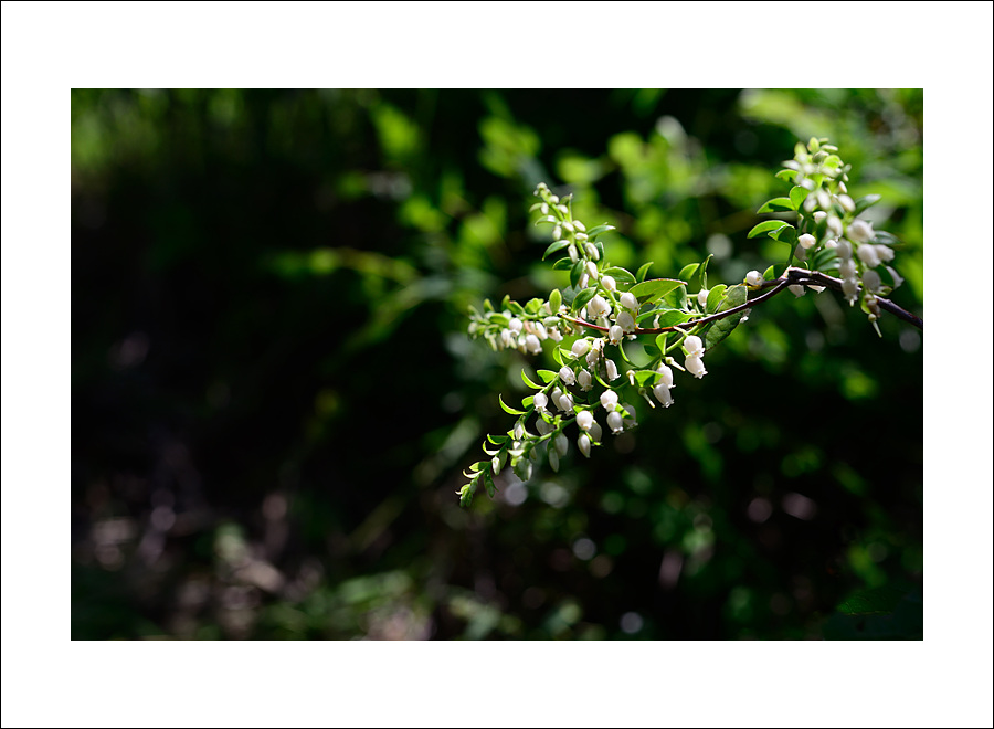 DSC_0503.jpg