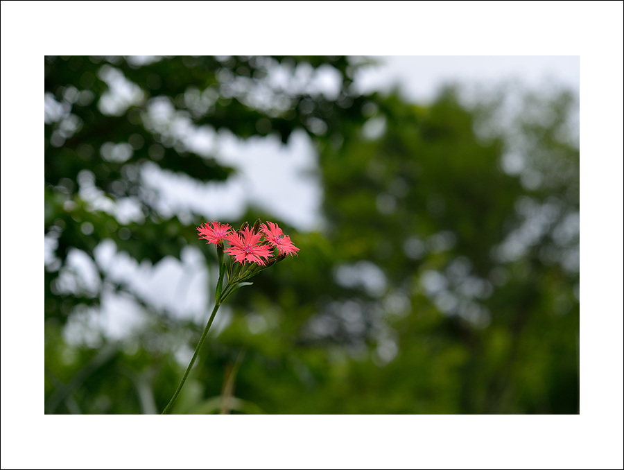 DSC_5861.jpg