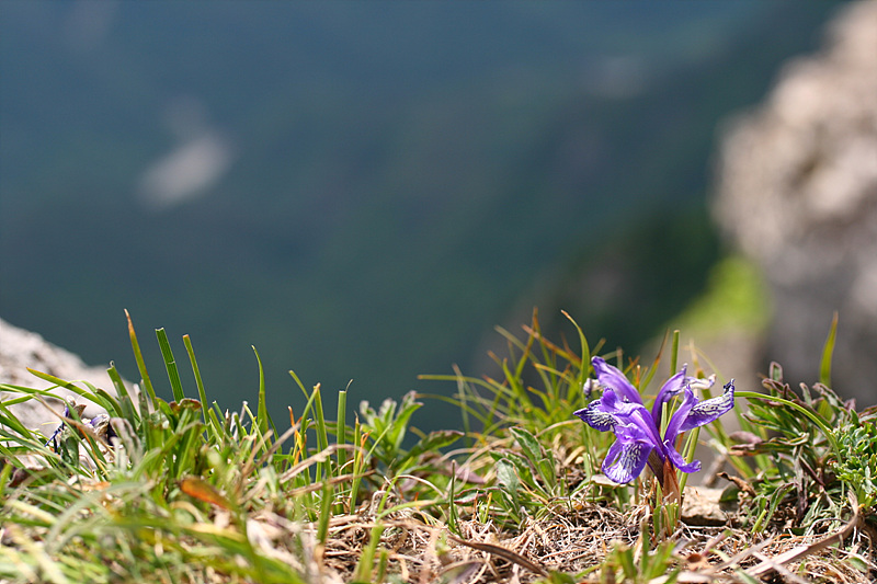 20090606안산 291.jpg